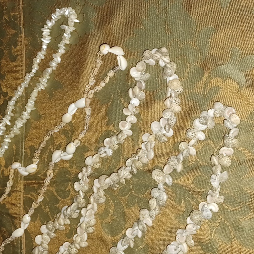 Shell lovers jewelry